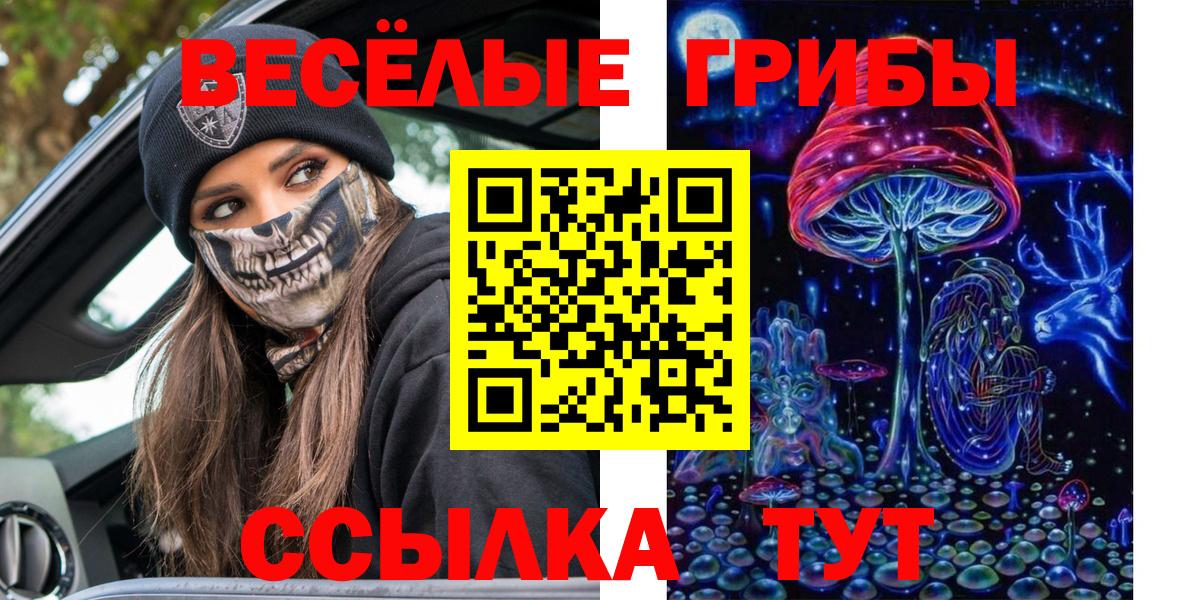 Псилоцибиновые грибы прущие грибы  Галлюциногенные грибы прущие грибы  Карабулак  Вход с VPN 